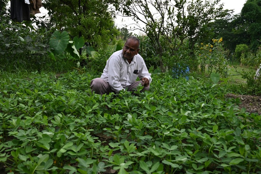प्राकृतिक खेती में रैल के मुनी लाल ने किया कमाल
