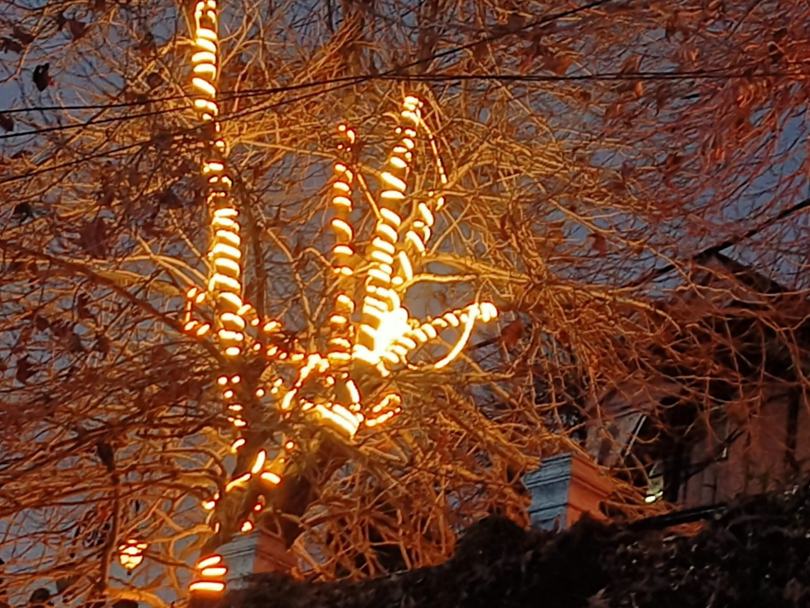 Fairy Lights killing lives in Shimla