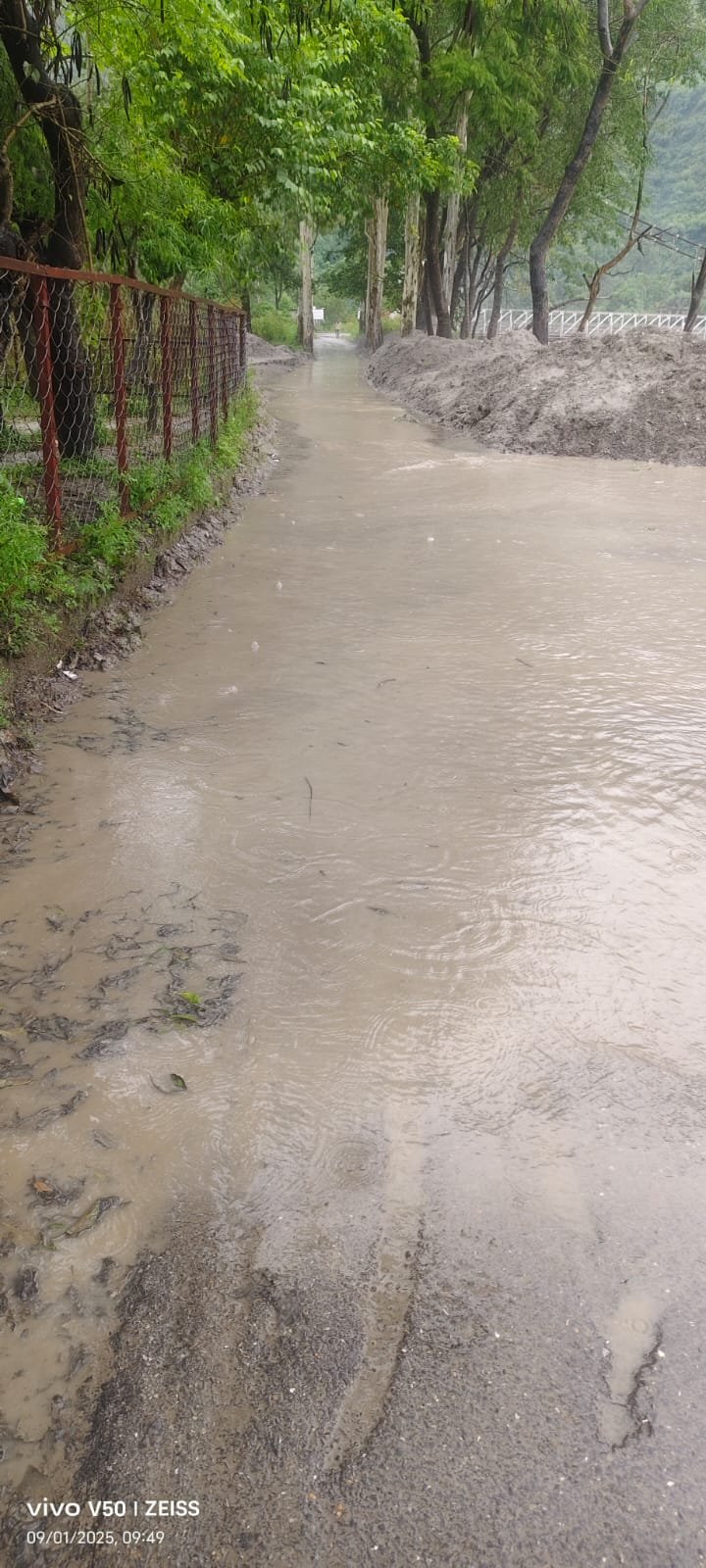 Satluj water level rising at Sunni
