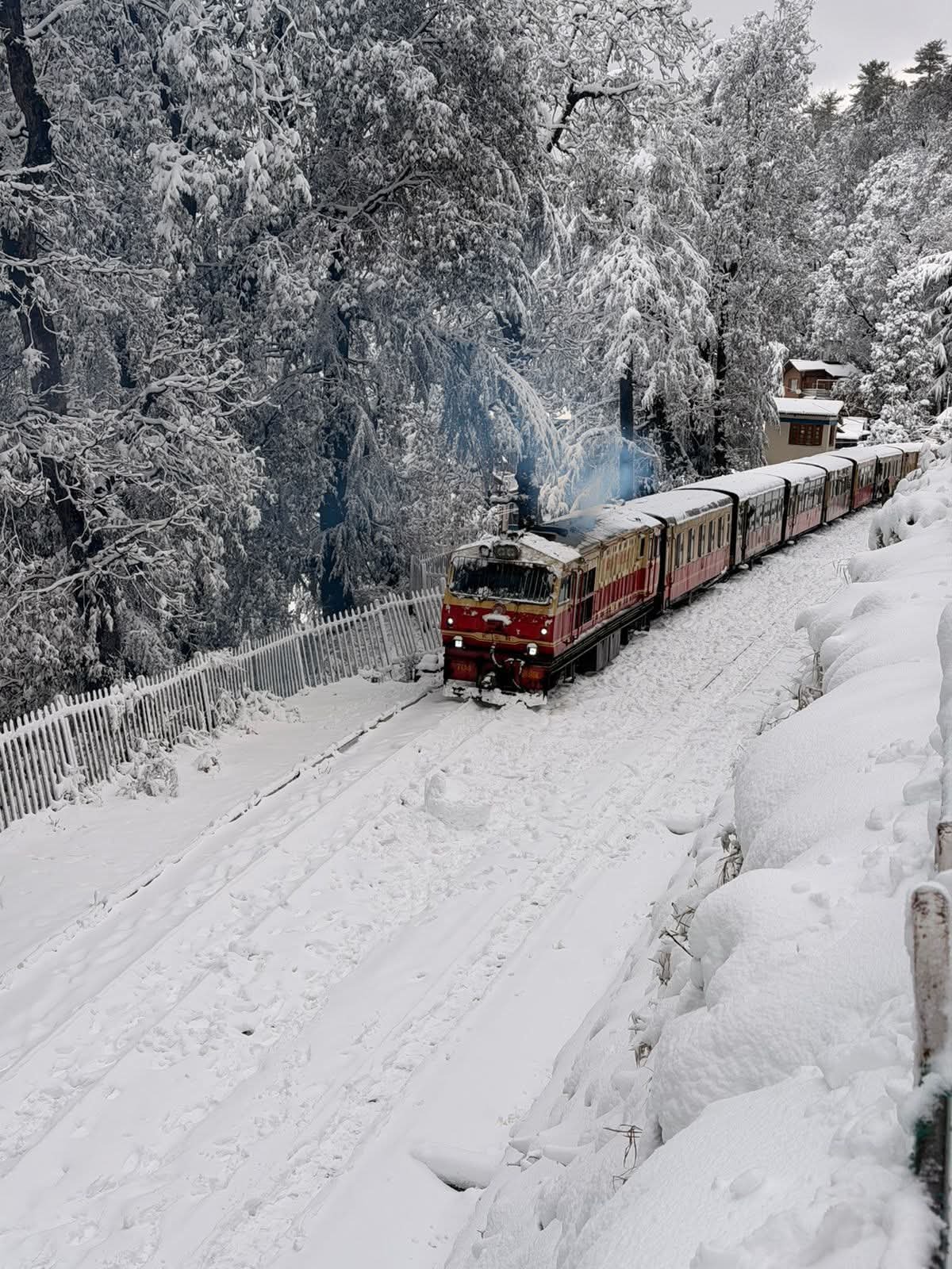 Himachal on High Alert as IMD Warns of Heavy Rain, Snowfall