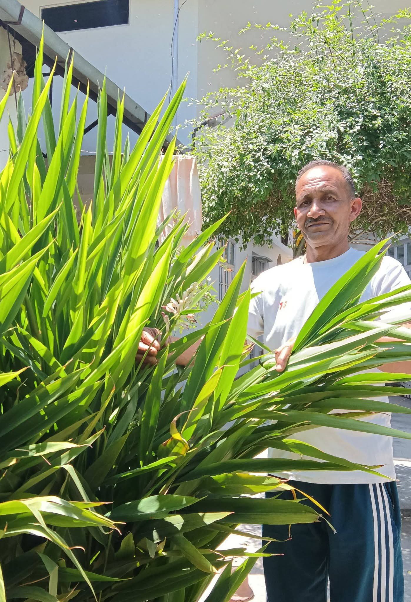 “From ‘Impossible’ to Inspirational: Bhumti’s progressive farmer Grows Cardamom in Himachal Hills”