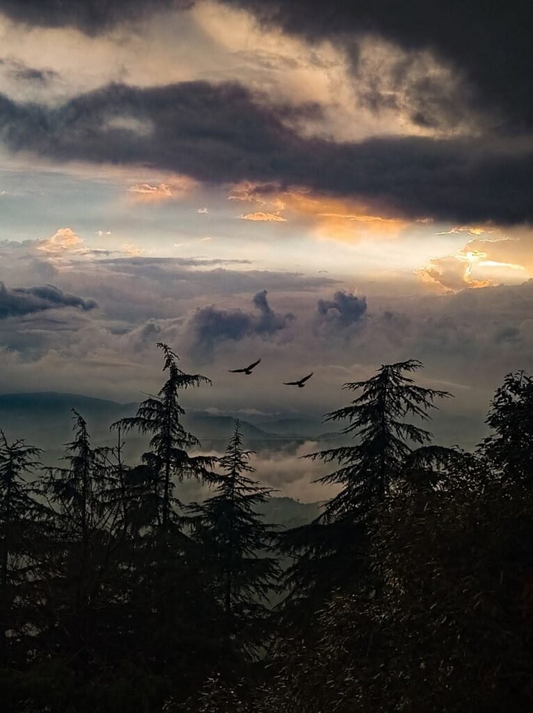 Himachal weather turns cooler as rain lashes Shimla; heavy rain alert for four districts